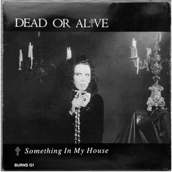 Dead Or Alive Something In My House VINYL 7" USED