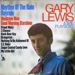 Gary Lewis & The Playboys Rhythm Of The Rain / Hayride Vinyl LP USED