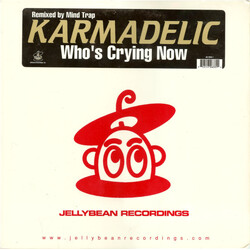 Karmadelic Who's Crying Now VINYL 12" USED