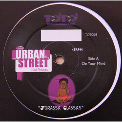Urban Street Soul Orchestra A Collective Of Urban Minded People With A Soulful Message To THe World USED VINYL 12INCH