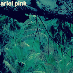 Ariel Pink's Haunted Graffiti Odditties Sodomies Vol. 3 Vinyl LP USED