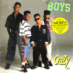 The Boys Crazy Vinyl 12" USED