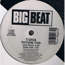 Technodiva Picture This VINYL 12" USED