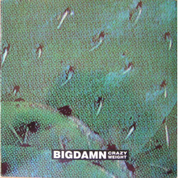 Big Damn Crazy Weight Might As Well / Off That Cow VINYL 7" USED
