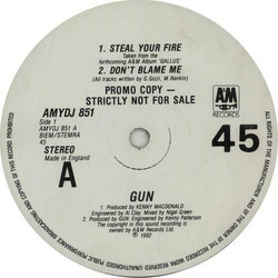 Gun (2) Steal Your Fire USED VINYL 12INCH 45 RPM PROMO
