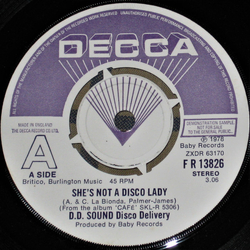 D.D. Sound She's Not A Disco Lady Vinyl 7" USED