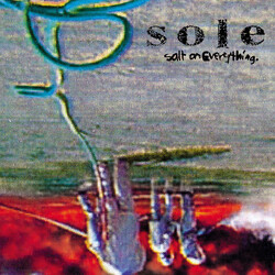 Sole Salt On Everything USED VINYL 12INCH 33 S RPM