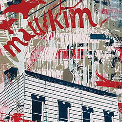 Matt & Kim Matt & Kim Vinyl LP USED