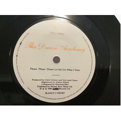 The Dream Academy Please Please Please USED VINYL 7INCH 45 RPM SINGLE