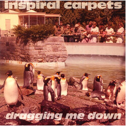 Inspiral Carpets Dragging Me Down VINYL 7" USED