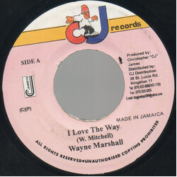 Wayne Marshall I Love The Way USED VINYL 7INCH 45 RPM