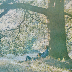 Yoko Ono / The Plastic Ono Band Plastic Ono Band Vinyl LP USED