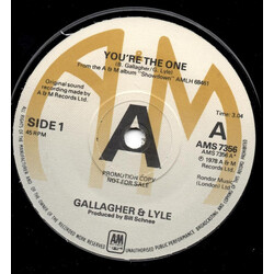 Gallagher & Lyle You're The One / Backstage USED VINYL 7INCH 45 RPM PROMO
