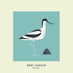 Bert Jansch Avocet Vinyl LP USED