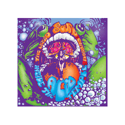 Liquid Sound Company Inside The Acid Temple Vinyl LP USED