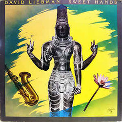 David Liebman Sweet Hands Vinyl LP USED