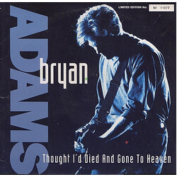 Bryan Adams Thought I'd Died And Gone To Heaven VINYL 12" USED