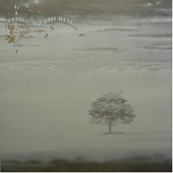 Genesis Wind & Wuthering Vinyl LP USED
