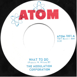 The Modulation Corporation What To Do / Worms Vinyl 7" USED