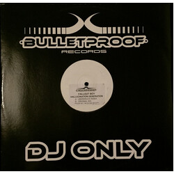Fallout Boy Hallucination Generation VINYL 12" USED