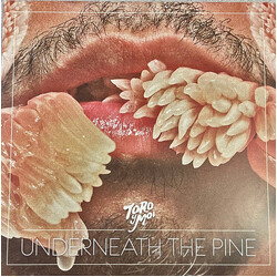Toro Y Moi Underneath The Pine Vinyl LP USED