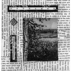 Prurient Victorian Photography USED VINYL 7INCH 45 RPM LIMITED EDITION
