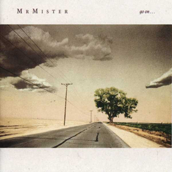 Mr. Mister Go On... Vinyl LP USED