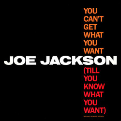 Joe Jackson You Can't Get What You Want (Till You Know What You Want) USED VINYL 12INCH 33 S RPM PROMO STEREO