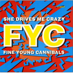 Fine Young Cannibals She Drives Me Crazy VINYL 12" USED