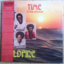 Wild Fire Time Is The Answer Vinyl LP USED
