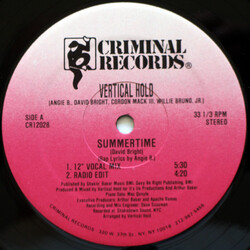 Vertical Hold Summertime VINYL 12" USED