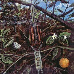 Dragonfly (8) Dragonfly Vinyl LP USED