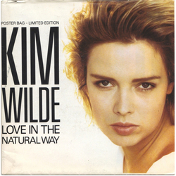 Kim Wilde Love In The Natural Way Vinyl 7" USED