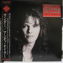 Andy Taylor Thunder Vinyl LP USED