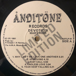 Mary Rose Devotion Vinyl LP USED