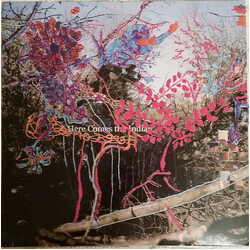 Animal Collective Here Comes The Indian Vinyl LP USED