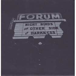 Night Birds The Other Side Of Darkness Vinyl 12" USED