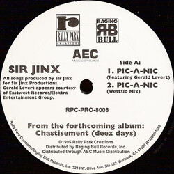 Sir Jinx Pic-A-Nic / I Putz It Down VINYL 12" USED