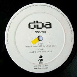 dba / Howard Jones What Is Love 2001 USED VINYL 12INCH 45 RPM PROMO WHITE LABEL