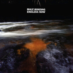 Male Bonding Endless Now Vinyl LP USED