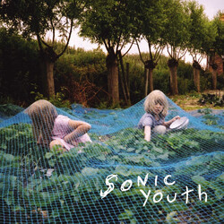 Sonic Youth Murray Street Vinyl LP USED