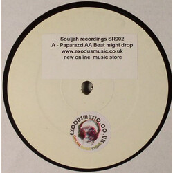 DJ Sketchy / Terry Tee Paparazzi / Beat Might Drop USED VINYL 12INCH 45 RPM WHITE LABEL