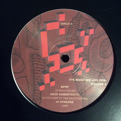 Various It's What We Live For: Volume 2 Vinyl 12" USED