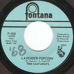 The Castaways Lavender Popcorn / What Kind Of Face USED VINYL 7INCH