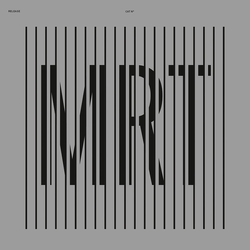 Assalti Industriali Otto Minuti Vinyl 12" USED