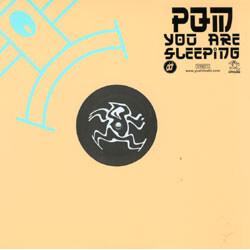 Prince Quick Mix You Are Sleeping VINYL 12" USED