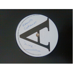 David Grant Life USED VINYL 12INCH PROMO