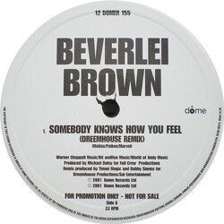 Beverlei Brown Somebody Knows How You Feel (Remixes) USED VINYL 12INCH 33 S RPM PROMO