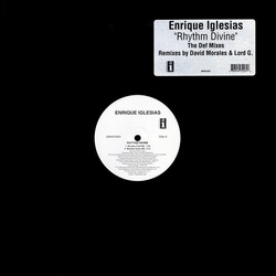 Enrique Iglesias Rhythm Divine USED VINYL 12INCH 33 S RPM