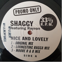 Shaggy Nice And Lovely USED VINYL 12INCH PROMO